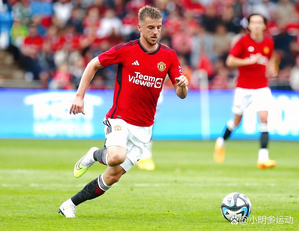 意天空：迪乌夫在国米逐渐展现影响力，或成邓弗里斯合适替补（意天空：迪乌夫在国米渐入佳境，有望出任邓弗里斯理想替补）